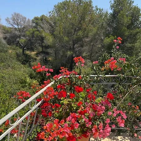 Art Jávea