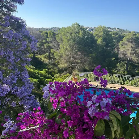 Villa Art Javea